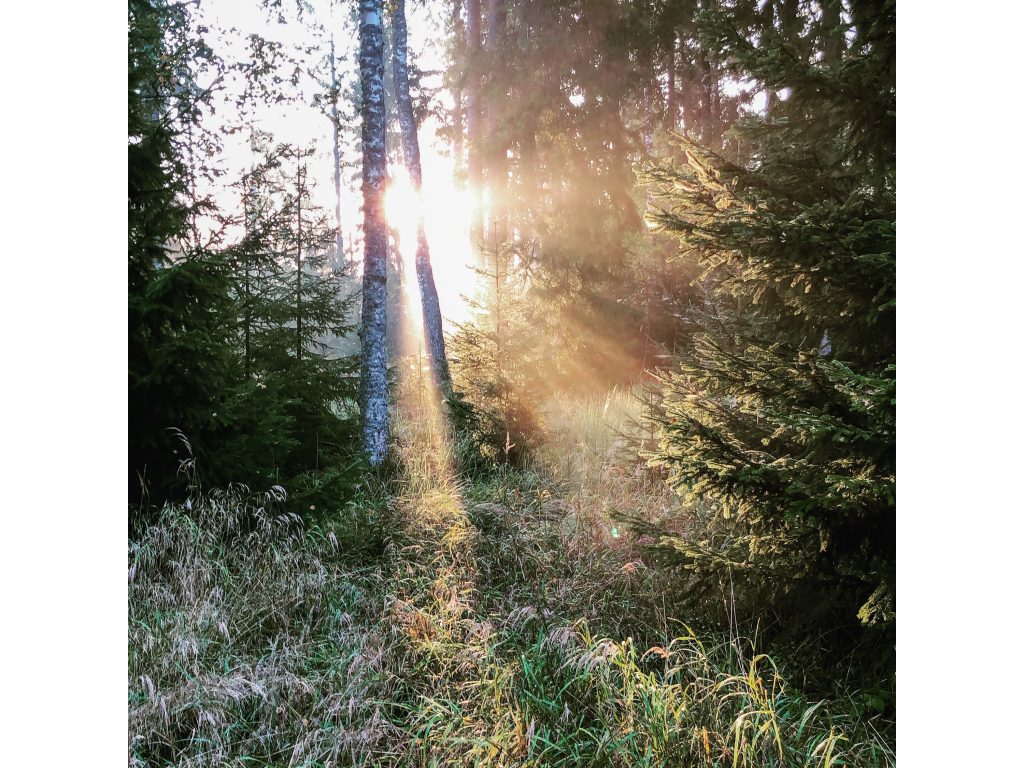 169475FA-4775-42F8-80CC-C6EB2F6F55CE